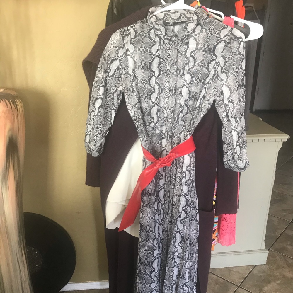 Zara dress